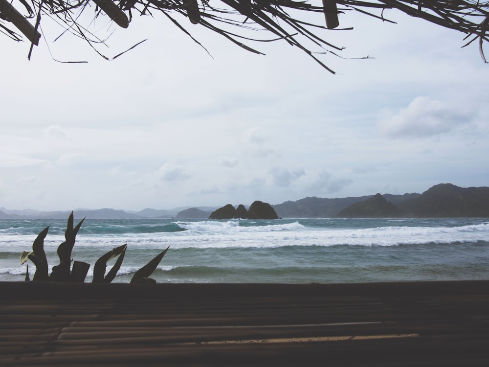 Fotografía de la orilla del mar en el enfoque