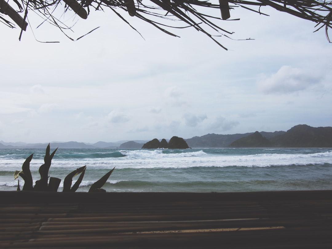 seashore on focus photography,
