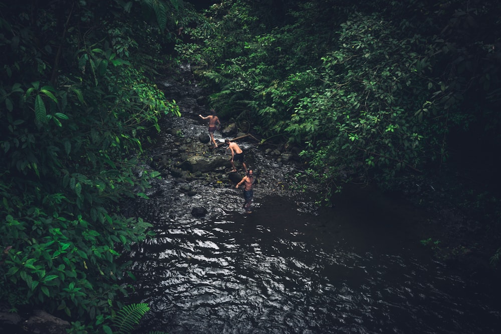 people walking on body of water between trees