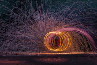 pink and orange light string photography