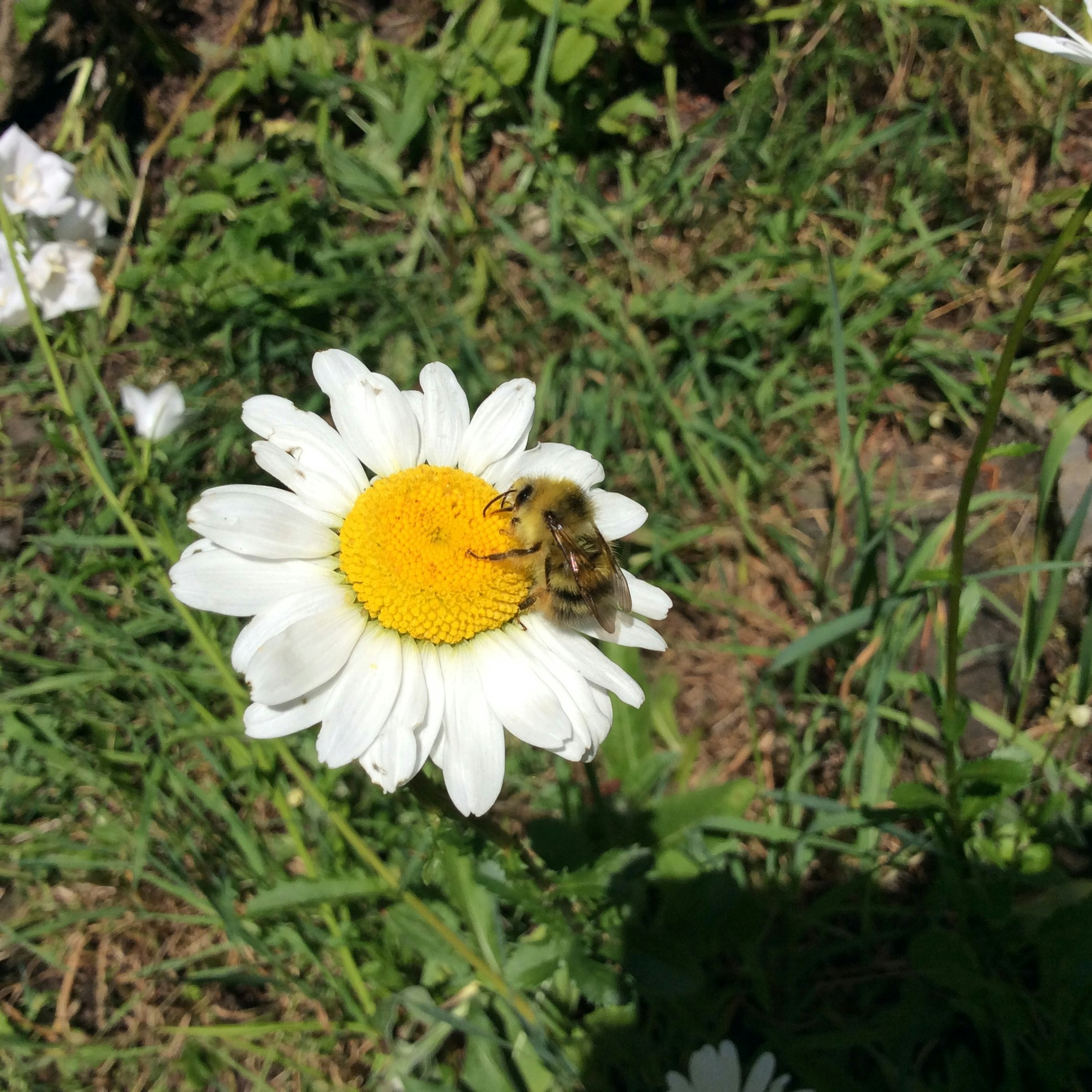 Free Unsplash photo from Mimi Steele