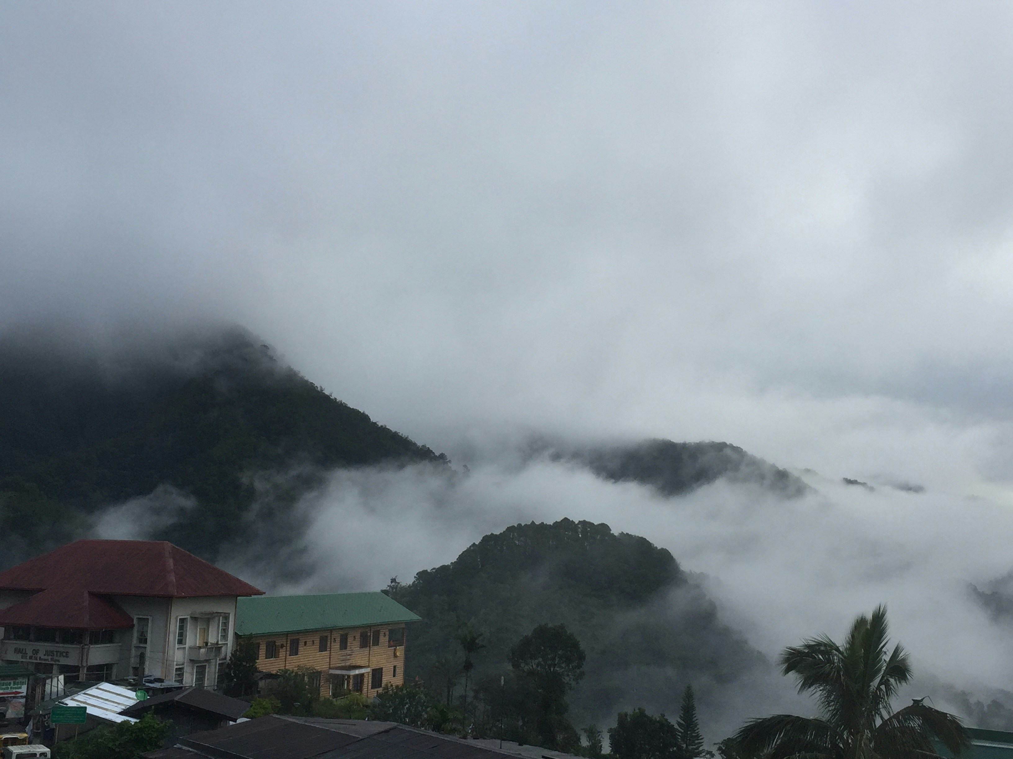 Free Unsplash photo from Rosemarie Pica