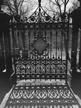 An ornate, wrought iron gate with intricate patterns and a circular emblem in the center creates a striking shadow on the ground. The gate stands in front of a background of bare trees and a quiet cemetery.
