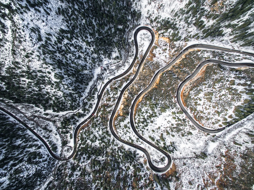 bird's eye view of highway in forest