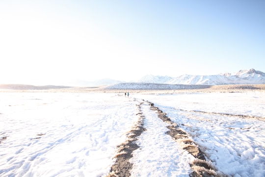 snow covered ground in Mammoth Lakes United States