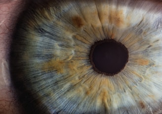 macro photography of human eye