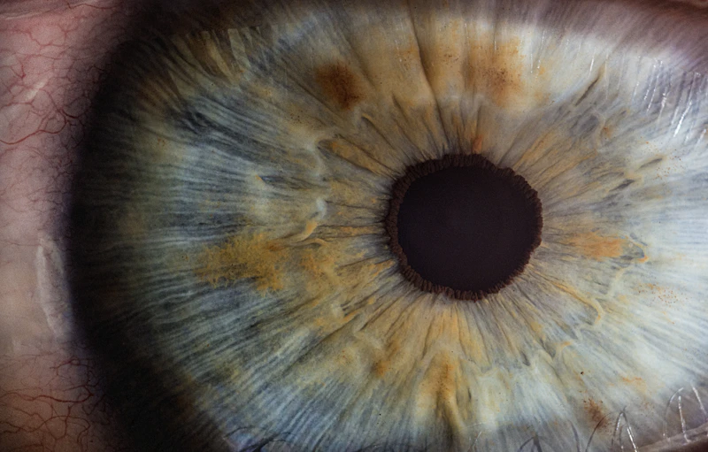 Macro photograph of a human eye — macular territory.