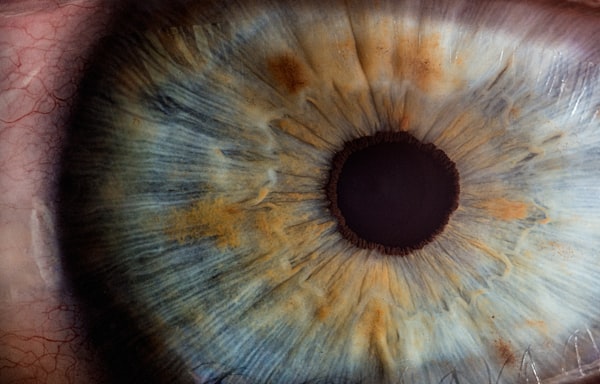 Closeup of an eyeball