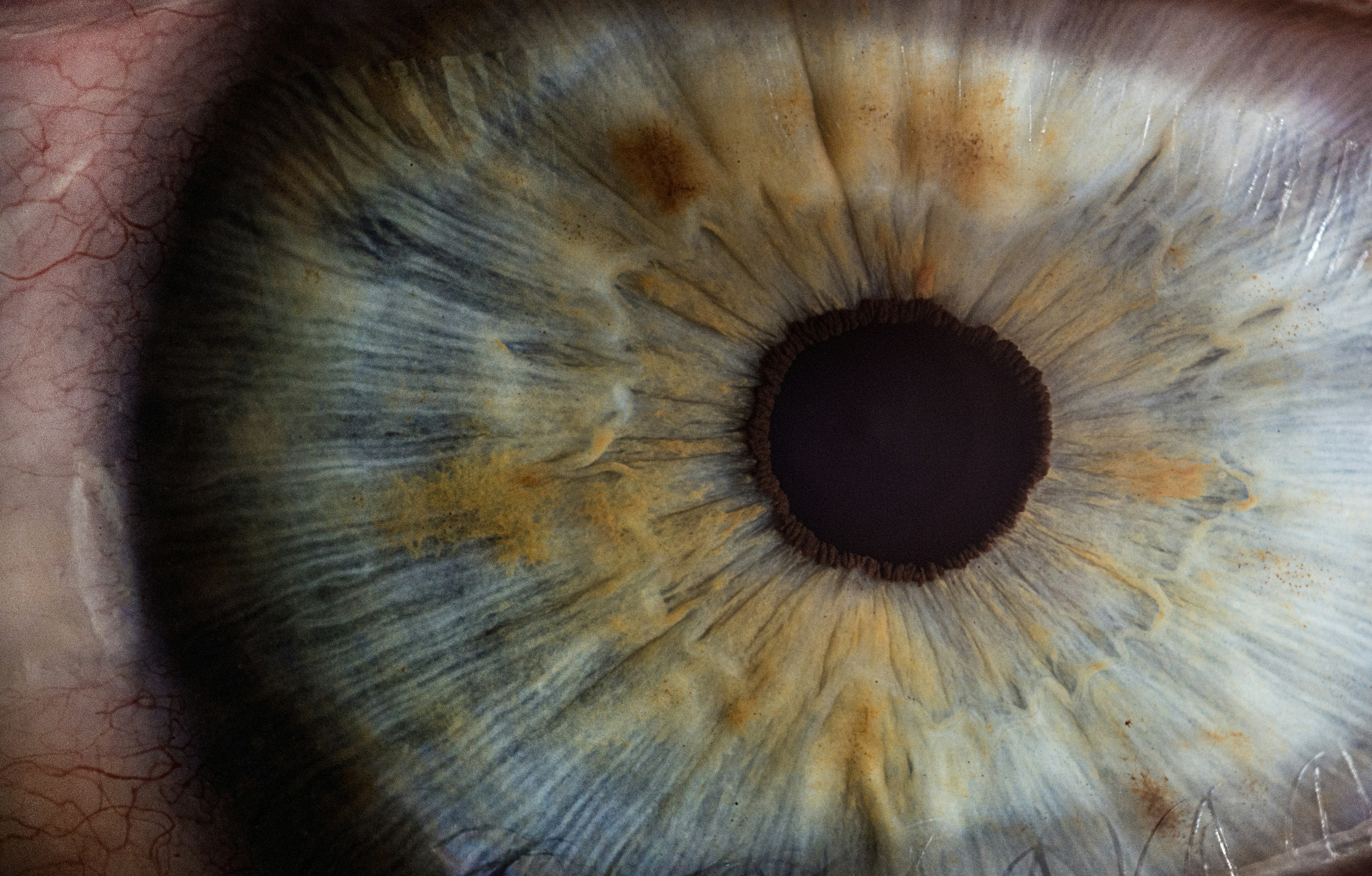 What Is The Recommended Eye Relief For Eyeglass Wearers?