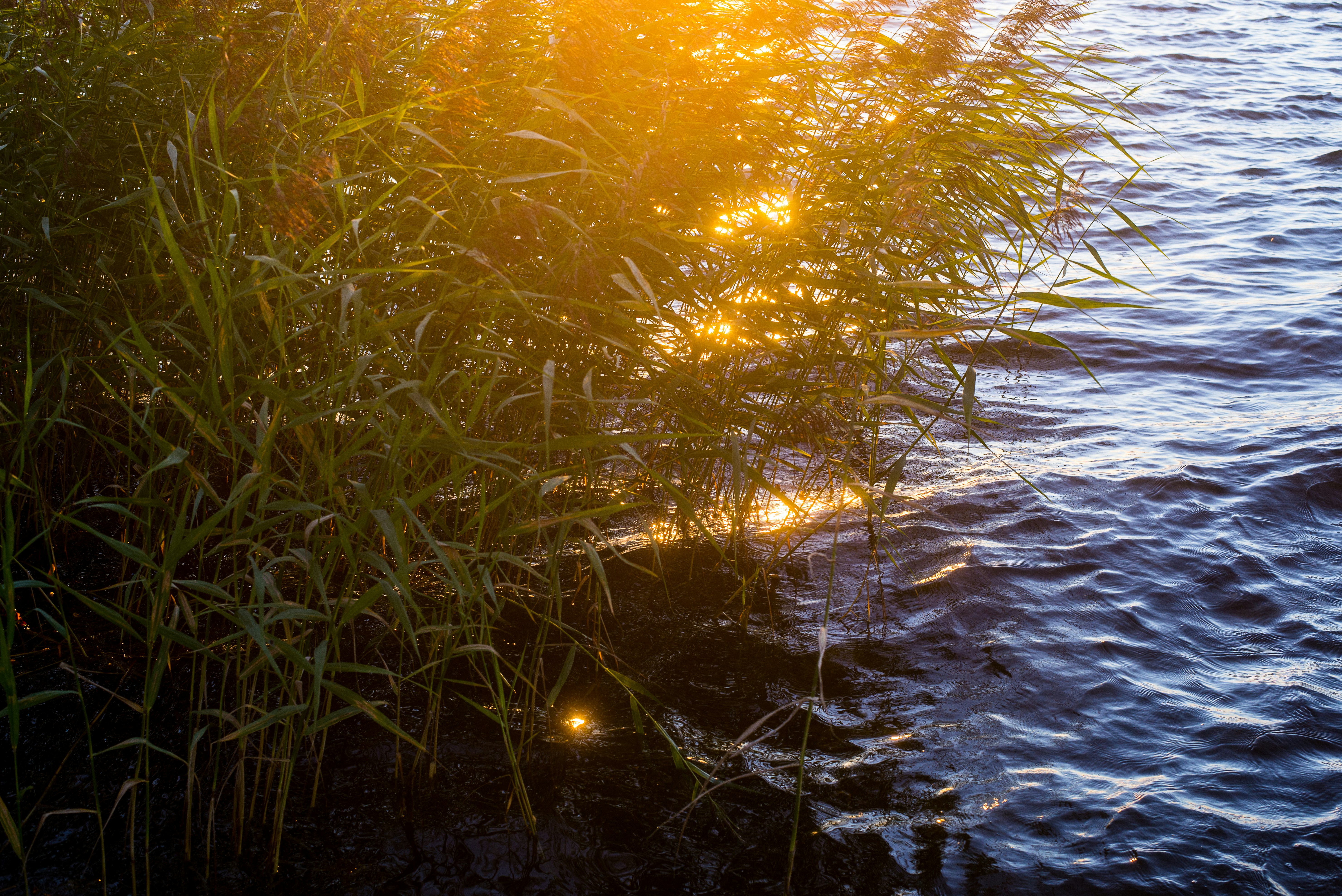 杞縣一周天氣預(yù)報，春日暖陽與細雨綿綿的交響曲 杞縣一周天氣預(yù)報