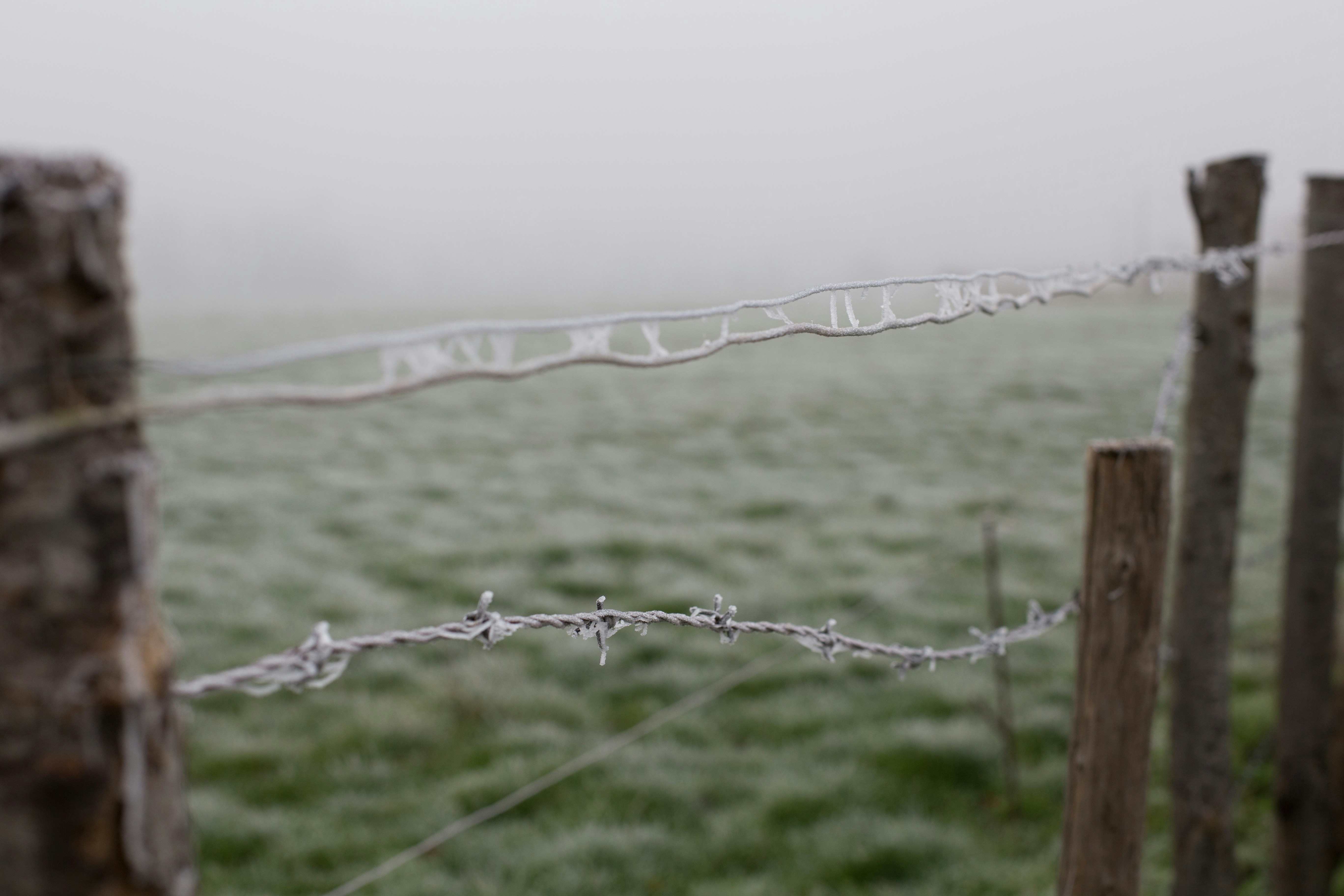 Free Unsplash photo from Thibaud Vaerman