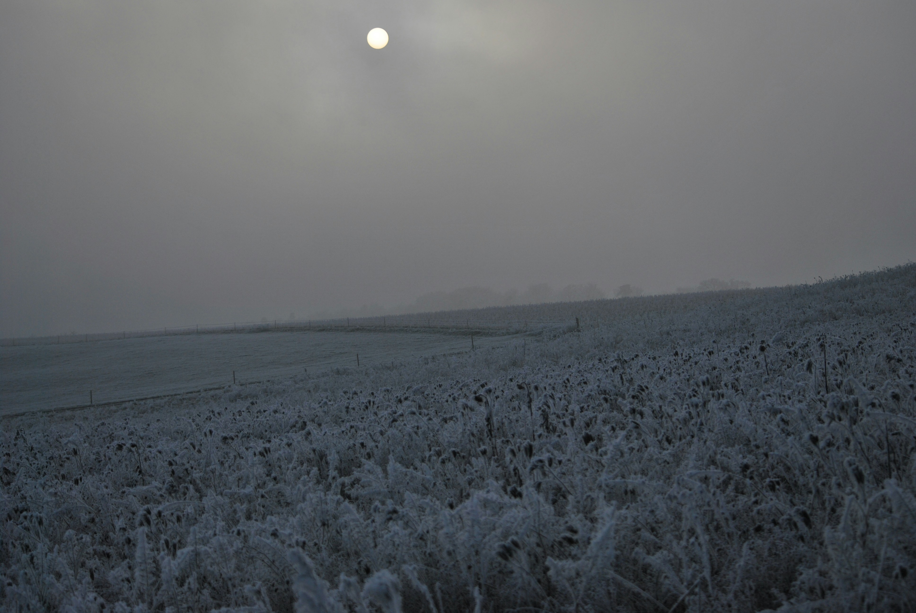 Free Unsplash photo from AnneKath D