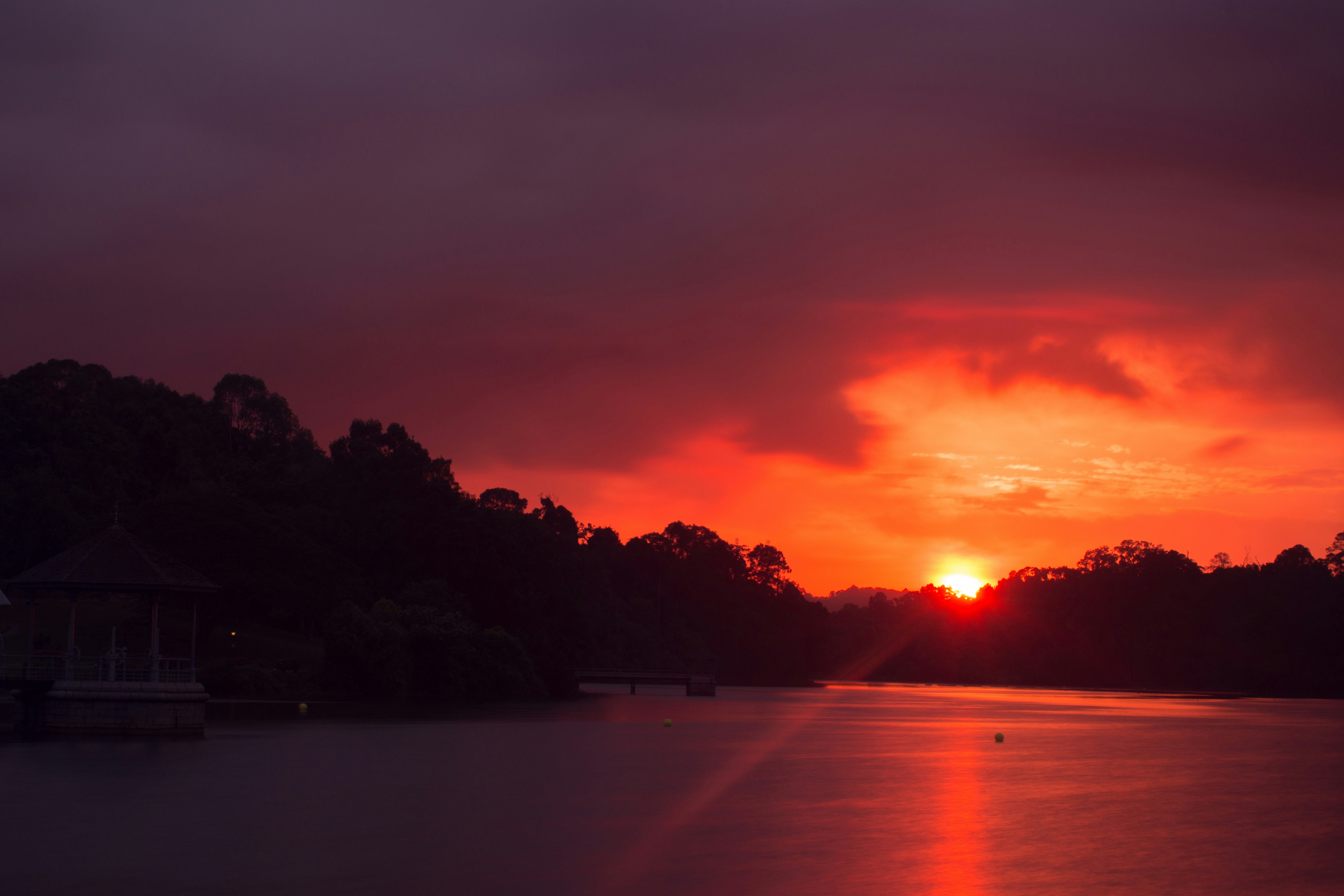 Free Unsplash photo from Ru Chern Chong