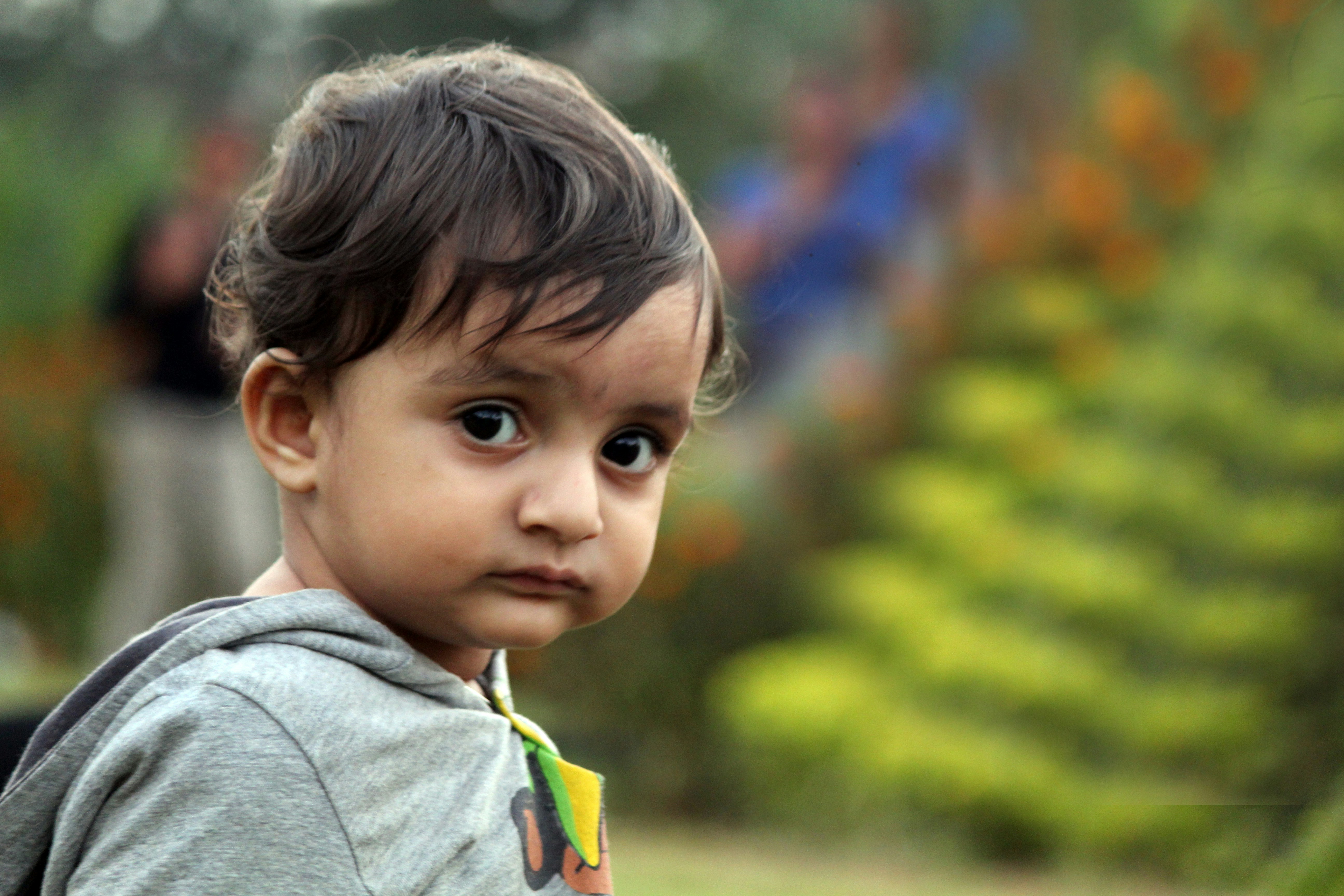 Free Unsplash photo from Nataraj Rao