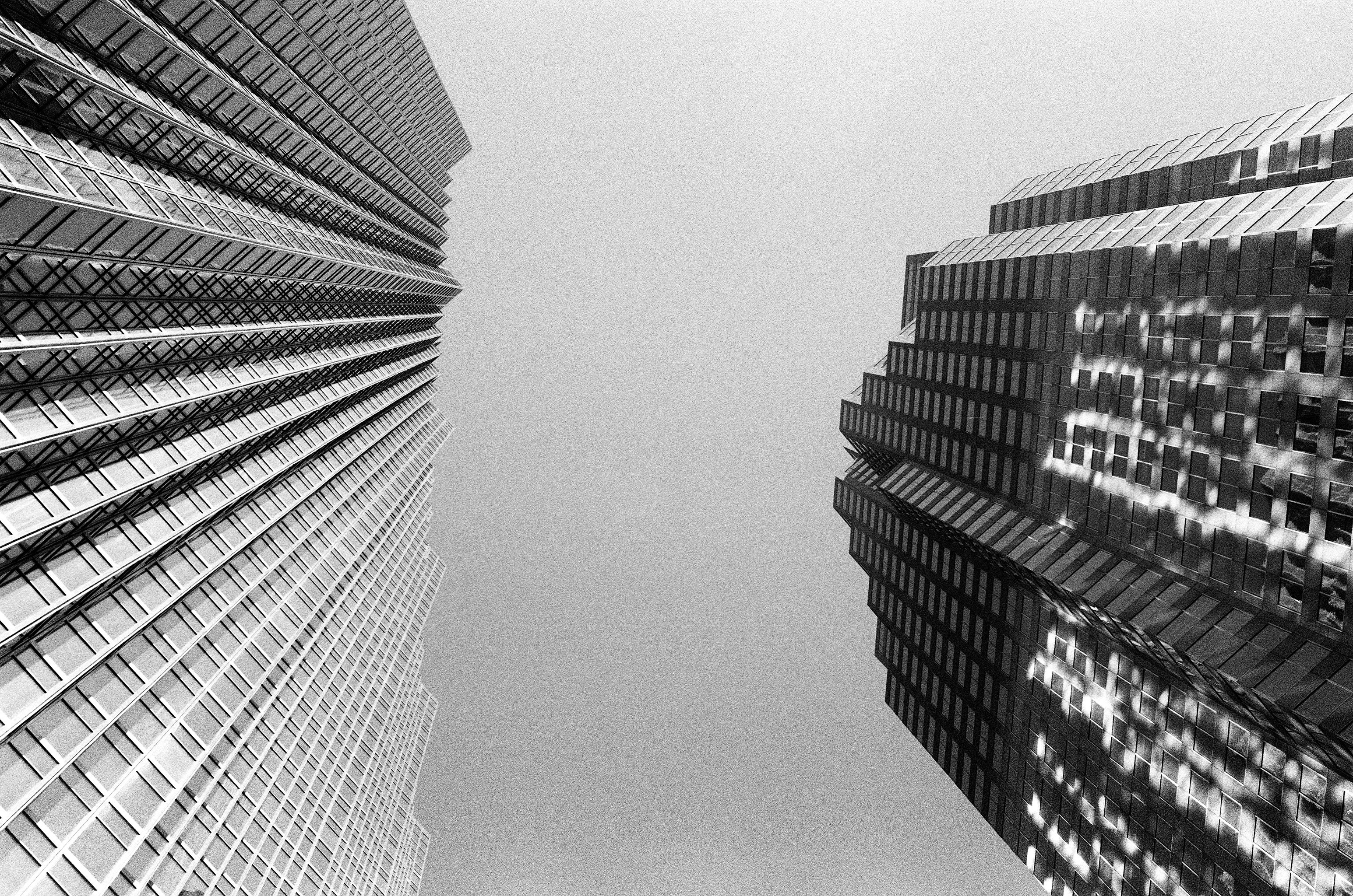 Free Unsplash photo from william fleury