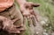 A man with his hands covered with mud