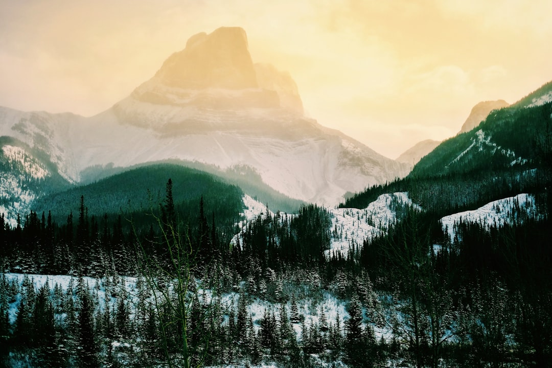 Mountain range photo spot Jasper Mount Robson