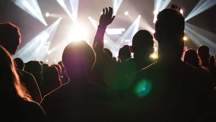 Silhouette of a crowd under stage lights