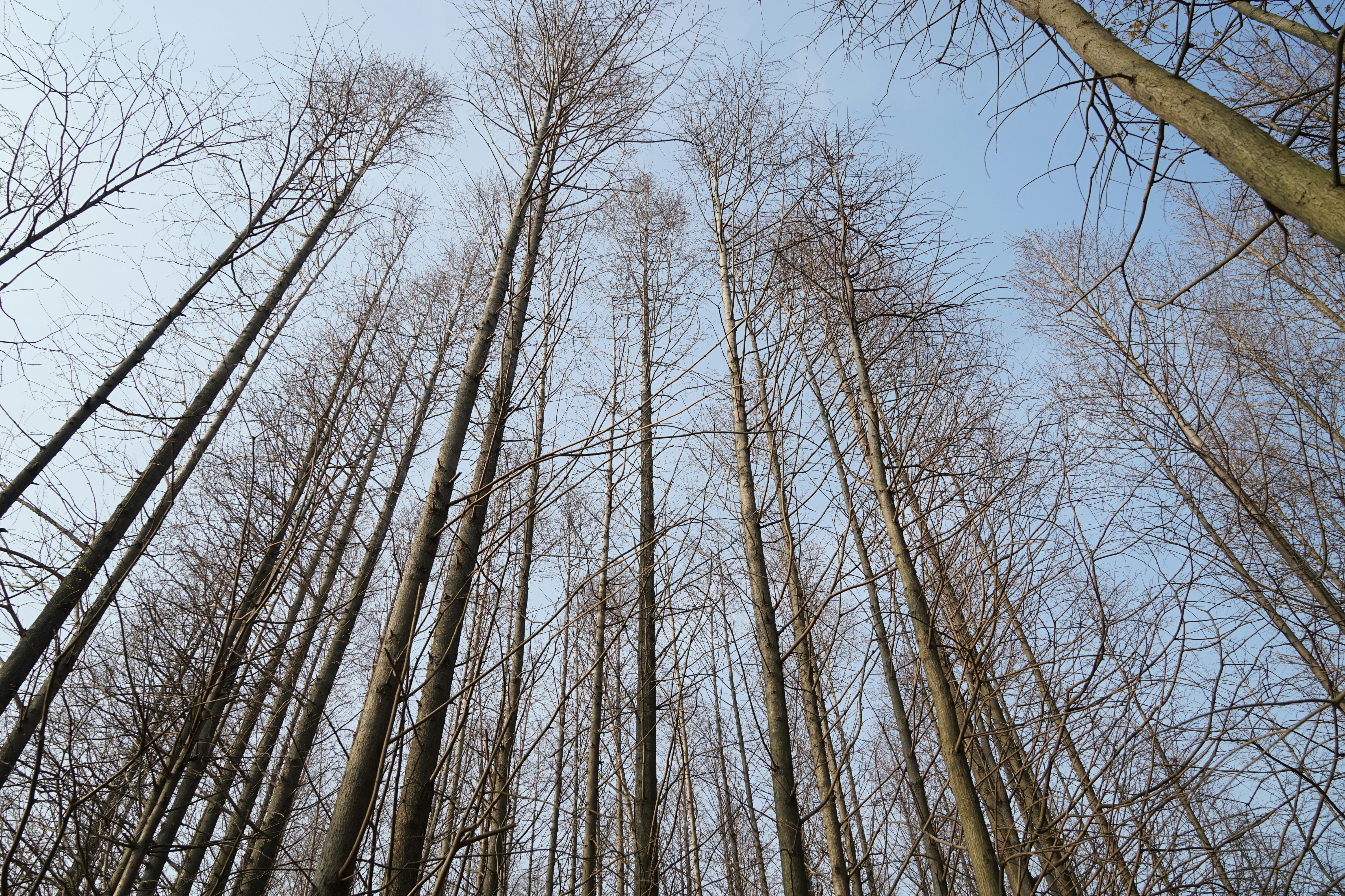 Free Unsplash photo from 照雄 王