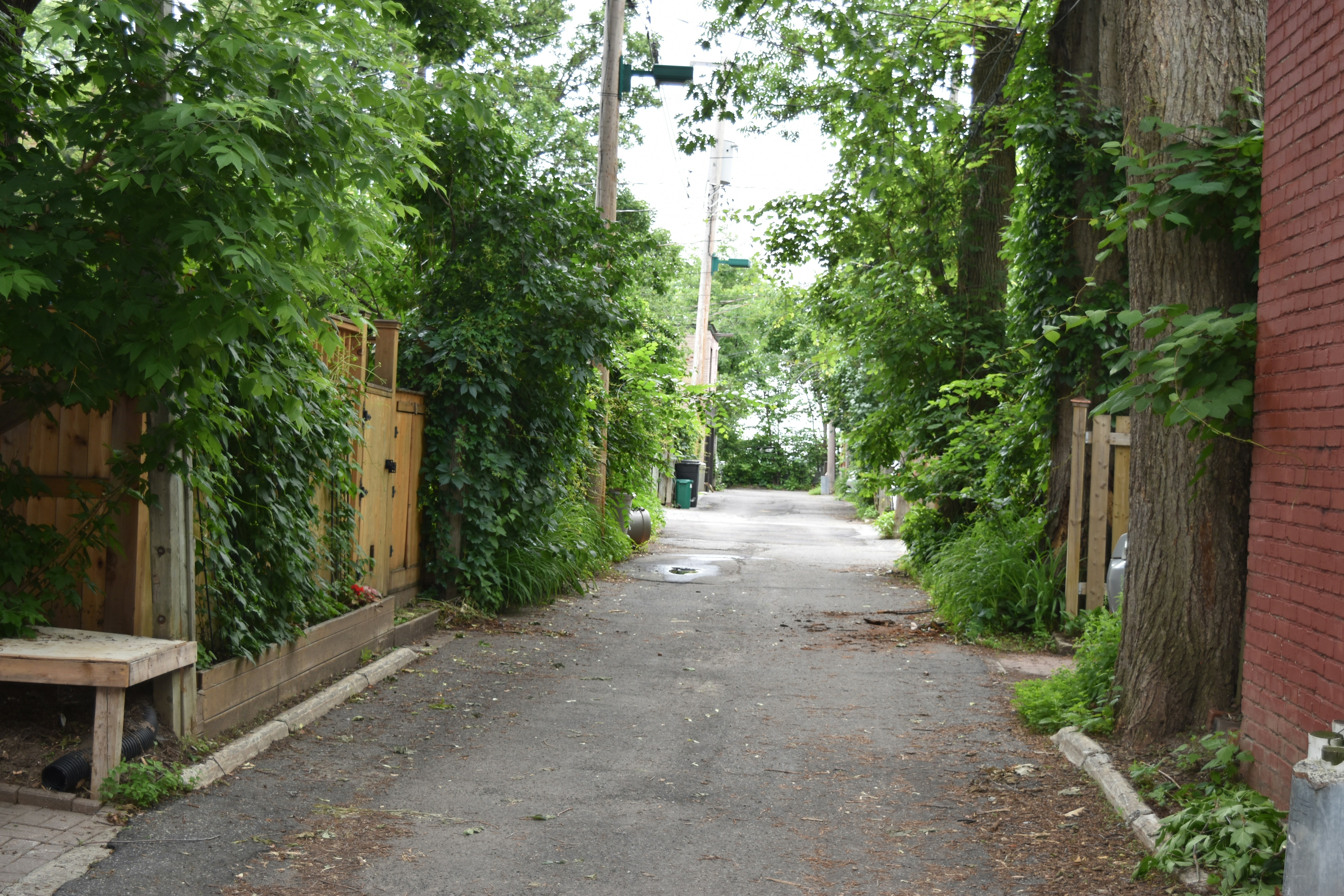 Free Unsplash photo from Jackie Lightfield