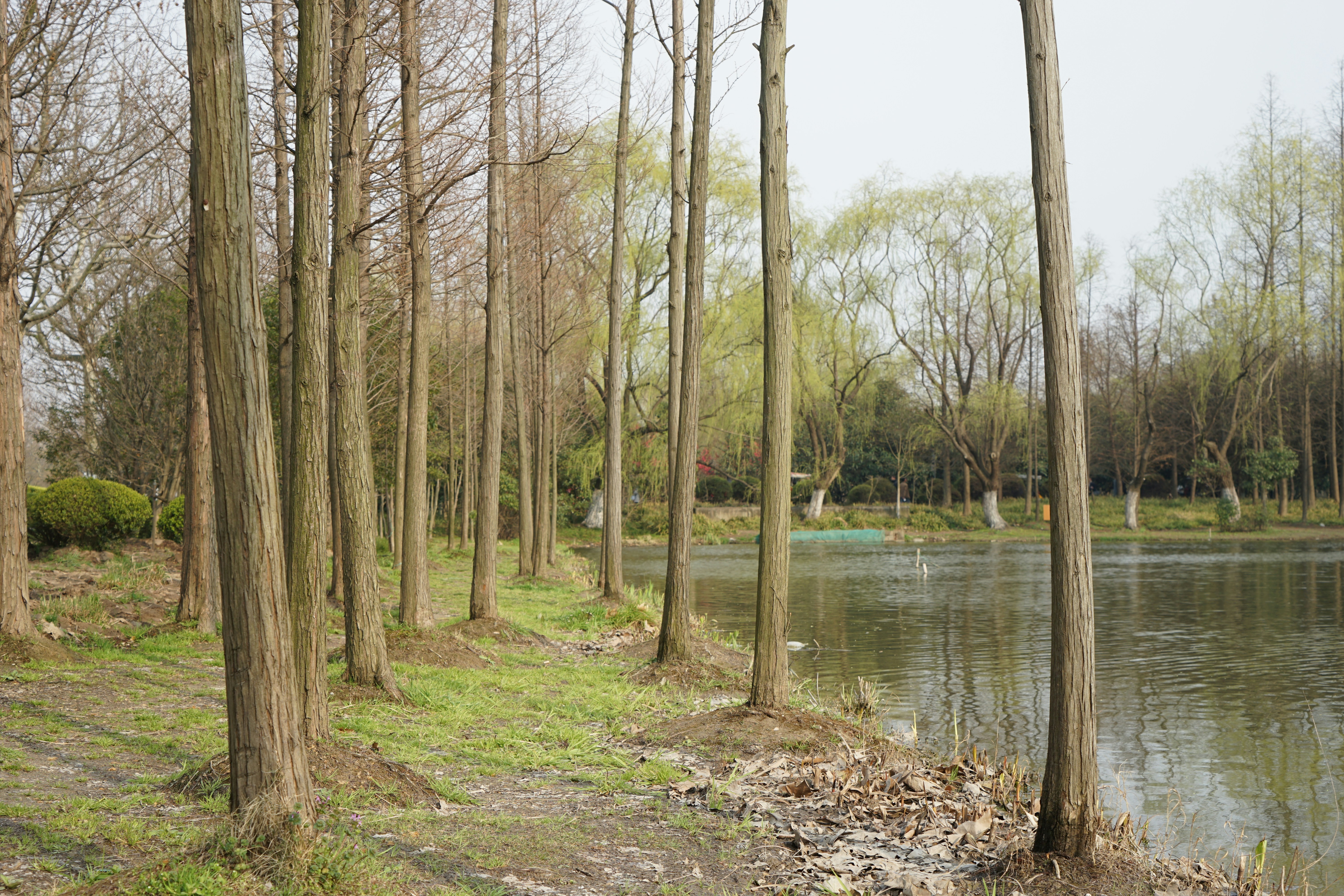 Free Unsplash photo from 照雄 王