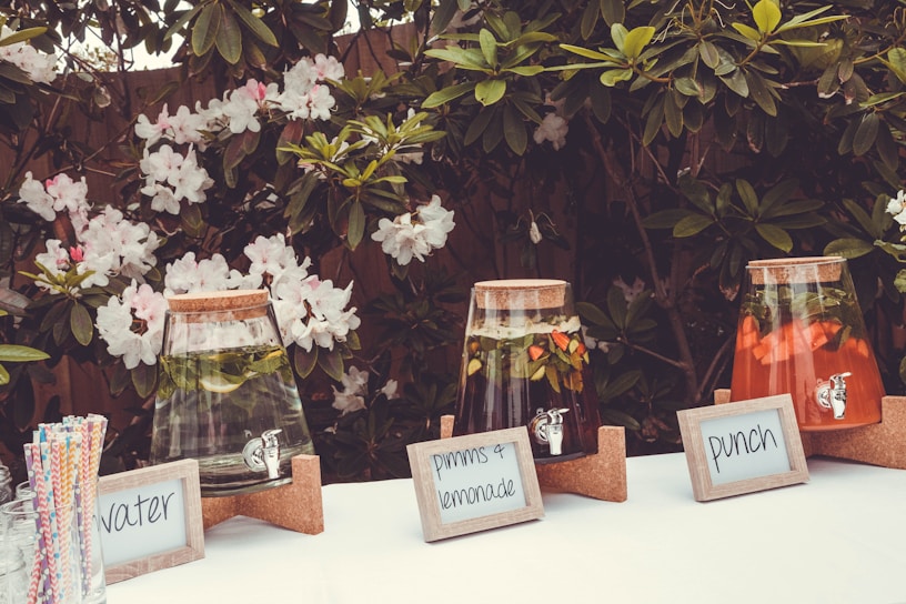 A table is set outdoors with three large glass dispensers filled with different beverages. The first has clear water with lemon slices, the second contains a dark beverage labeled as 'Pimm's & lemonade' with fruits inside, and the third is filled with a reddish punch. Each dispenser has a cork lid and is mounted on a wooden base, with labels in frames in front of them. Straws in a container are placed on the left side, and lush green foliage with white flowers serves as the background.
