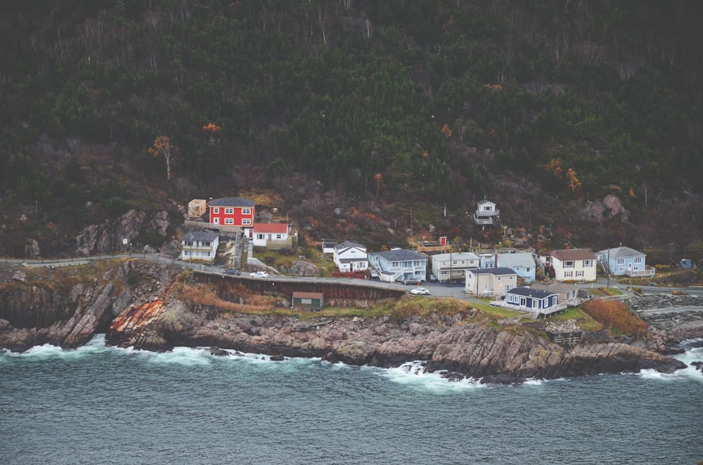 bird's-eye view photography of houses near body of water