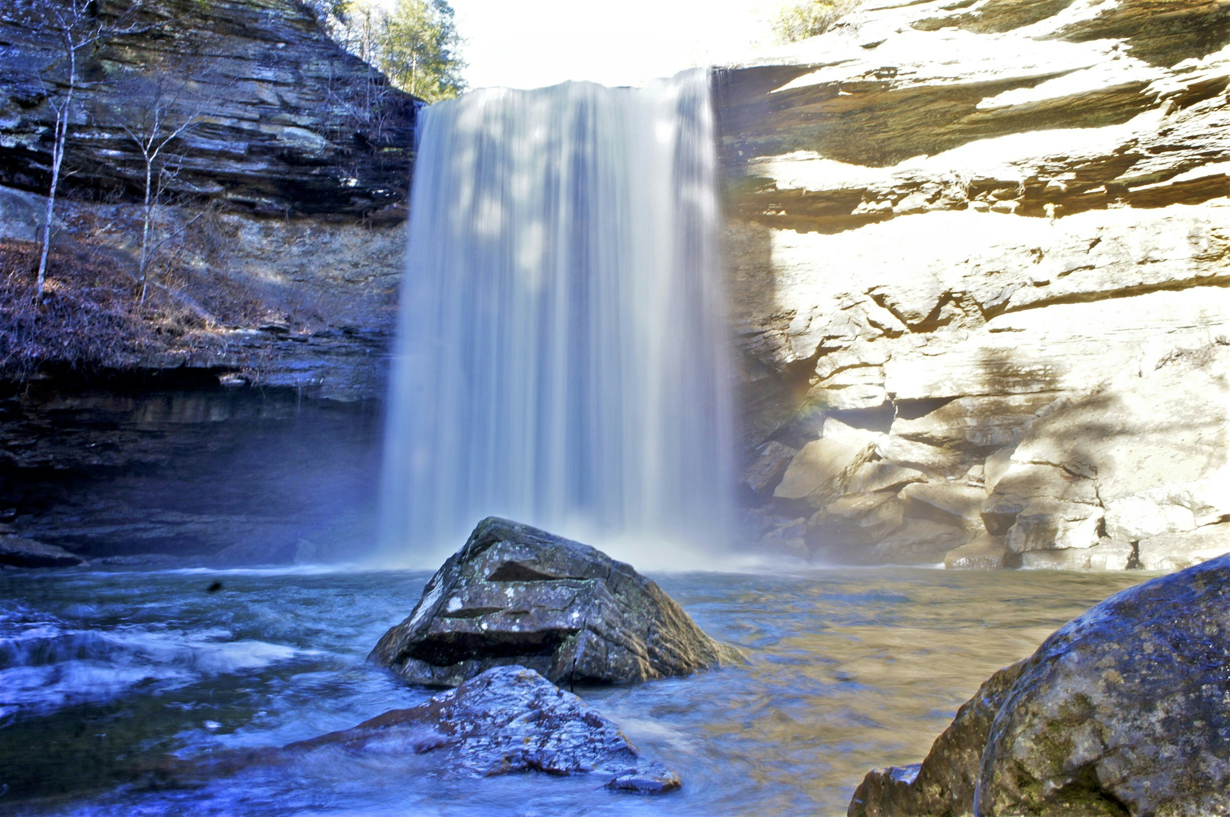 Free Unsplash photo from Andrew Jenkins