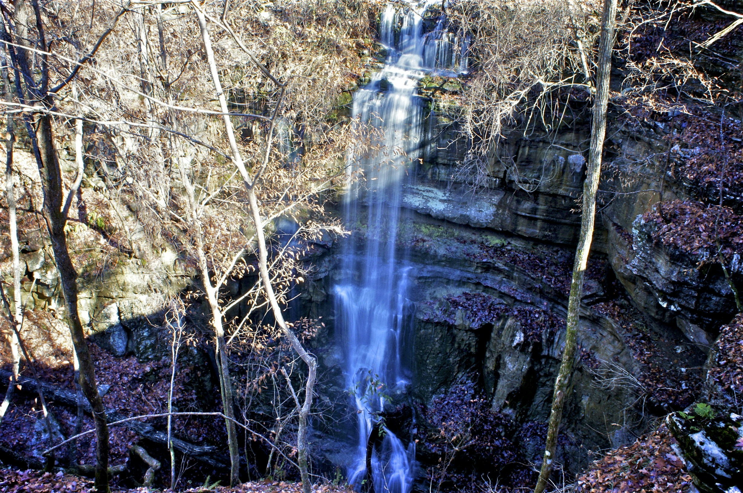 Free Unsplash photo from Andrew Jenkins