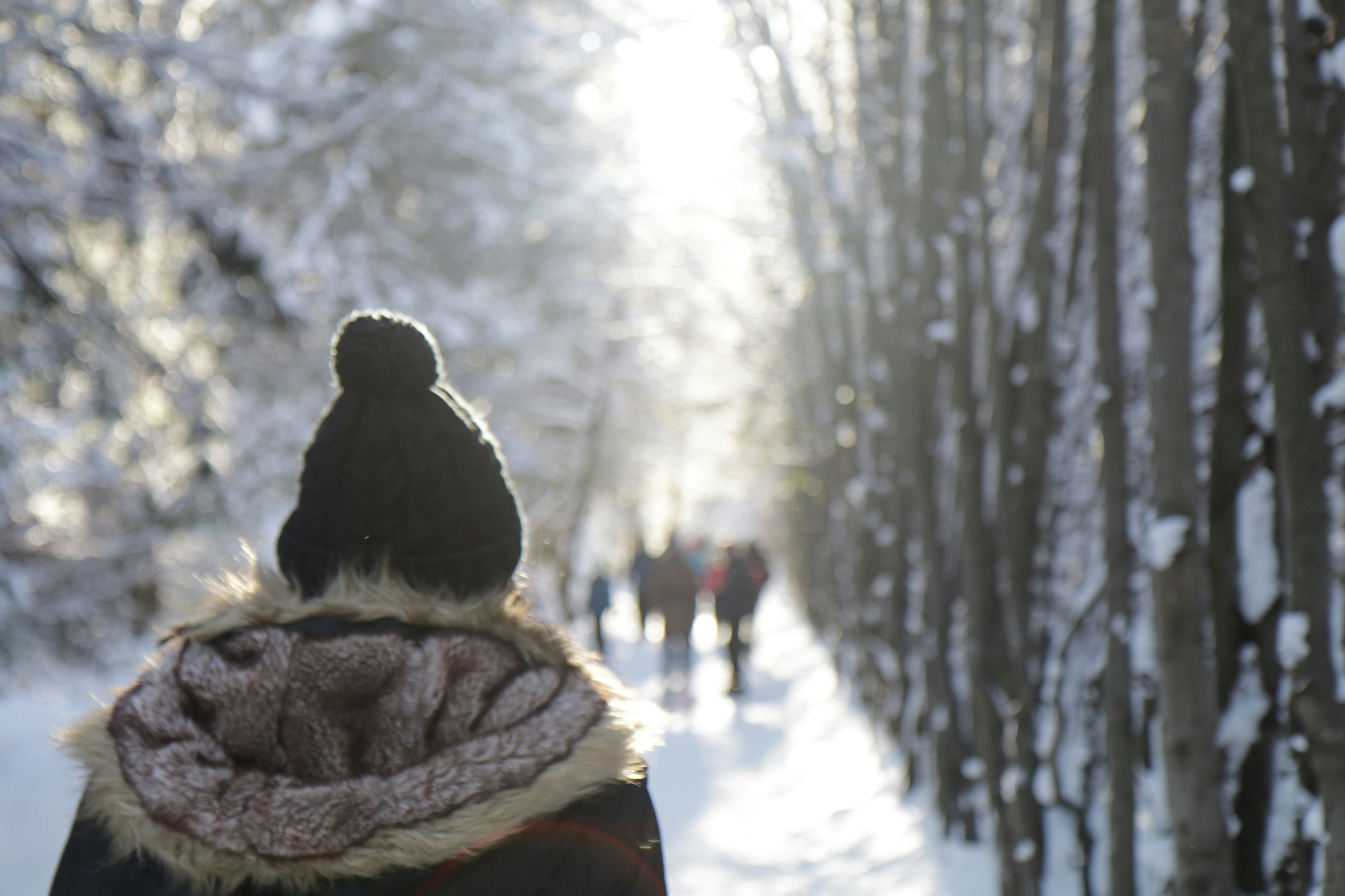 Free Unsplash photo from Conrad