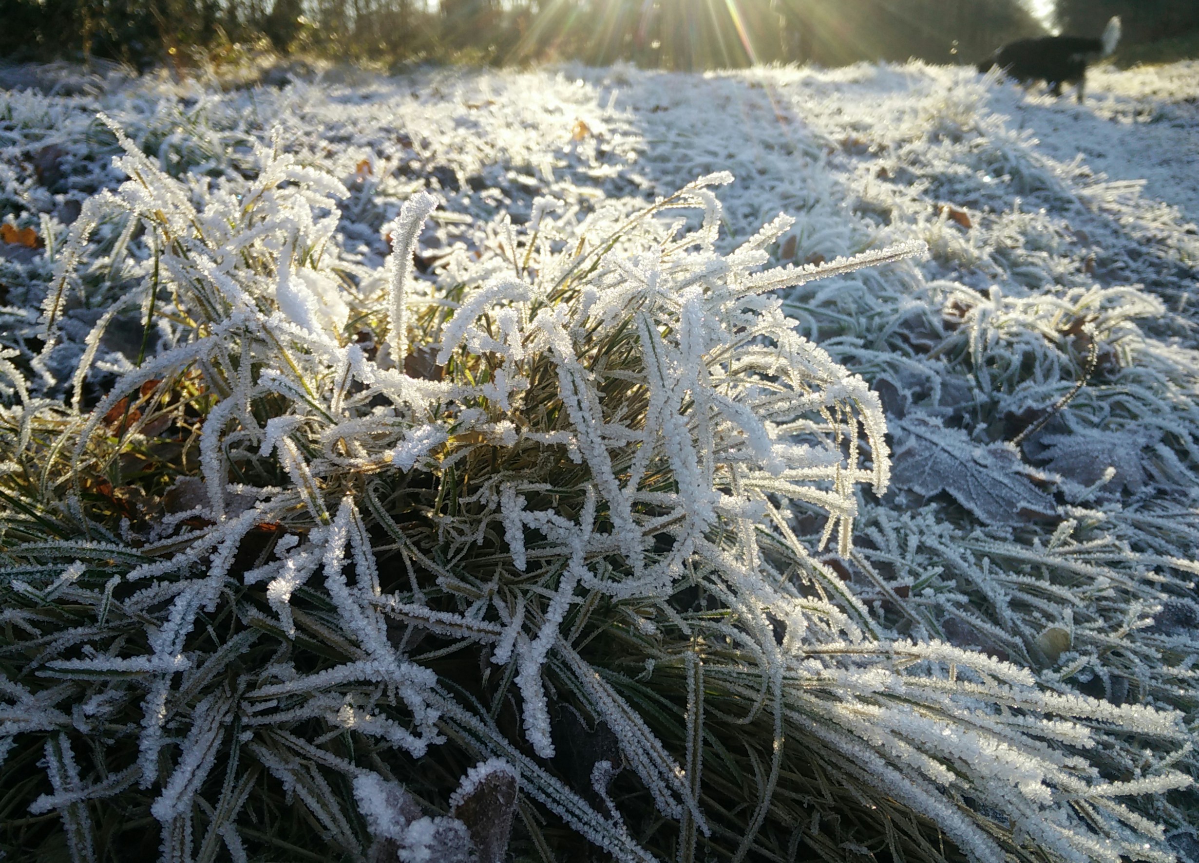 Free Unsplash photo from Pierre-Vincent Ledoux