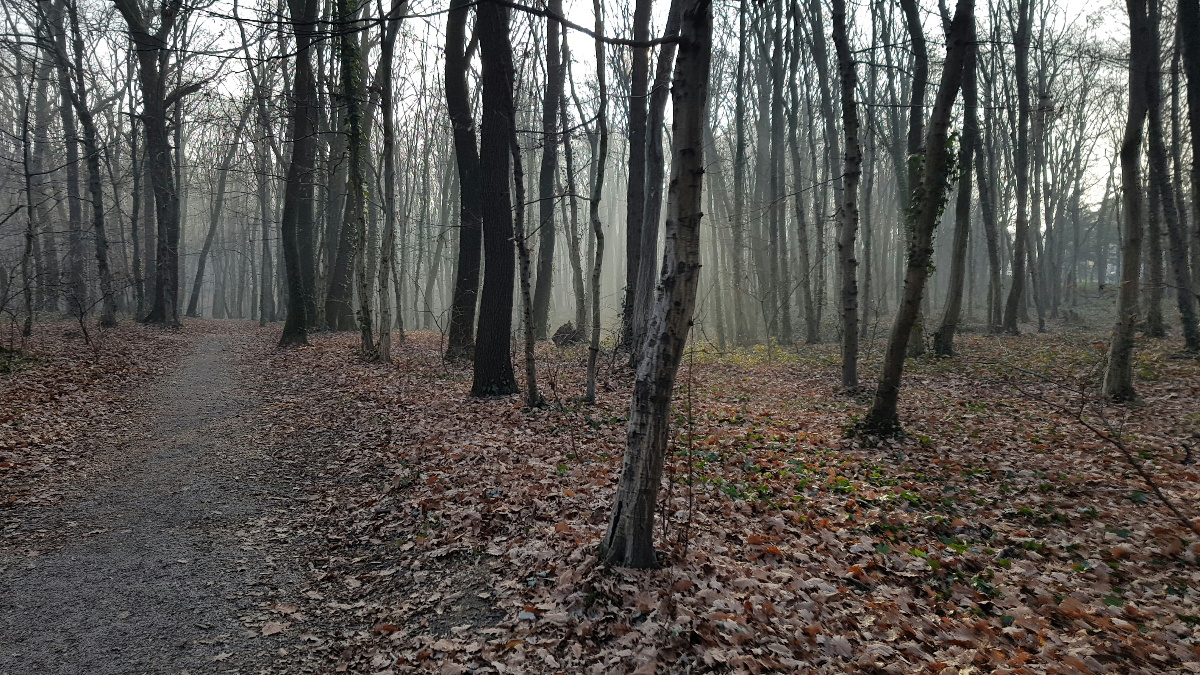 Free Unsplash photo from Marko Kosta