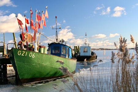 A docked green boat with red flags, labeled GZI 06, sits on a body of water near another boat. Tall grasses grow along the shoreline and the sky is bright with scattered clouds.