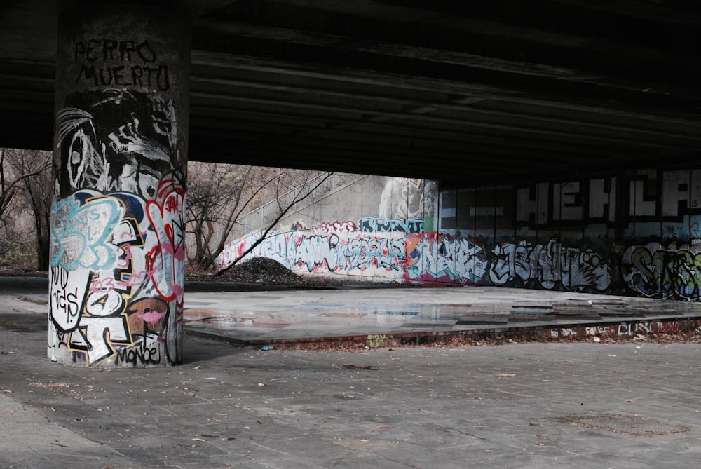 Arbres dénudés près d’un mur de graffitis