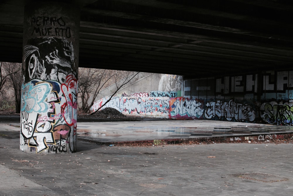 bare trees near graffiti wall