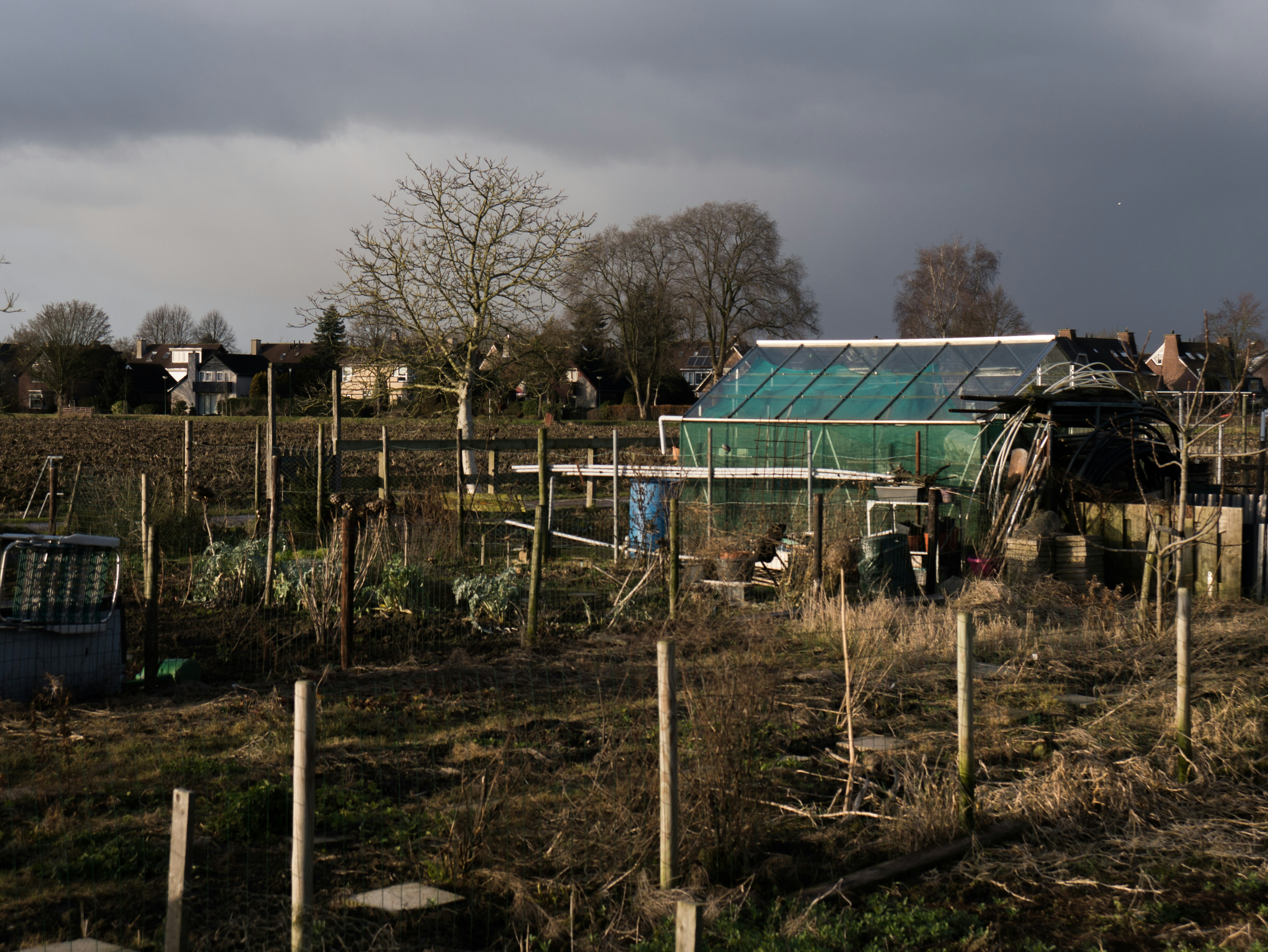 Free Unsplash photo from Maurice Smeets