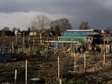 A rural landscape featuring a small enclosed garden area with a variety of plants and structures. There is a prominent greenhouse with a green covering, surrounded by fences and wooden posts. The background includes barren trees and a line of residential houses under an overcast sky.