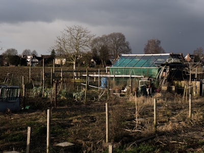 A rural landscape featuring a small enclosed garden area with a variety of plants and structures. There is a prominent greenhouse with a green covering, surrounded by fences and wooden posts. The background includes barren trees and a line of residential houses under an overcast sky.