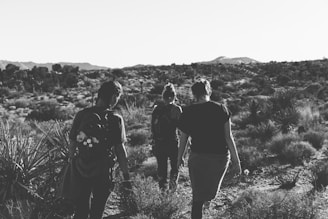 friends walking togeterr