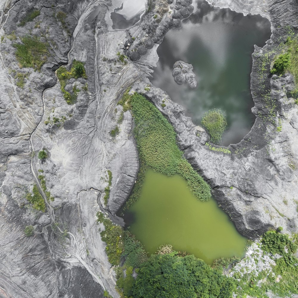 photo à vol d’oiseau d’une montagne entourée d’arbres