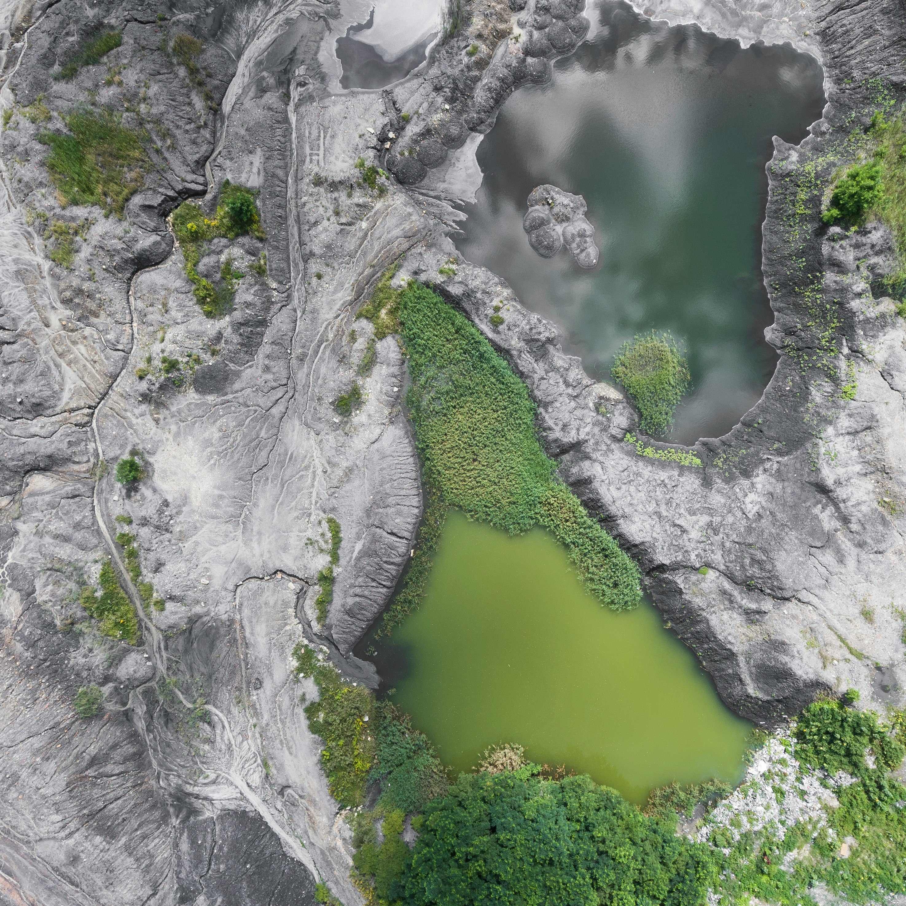 bird's eye photo of mountain surrounded by trees