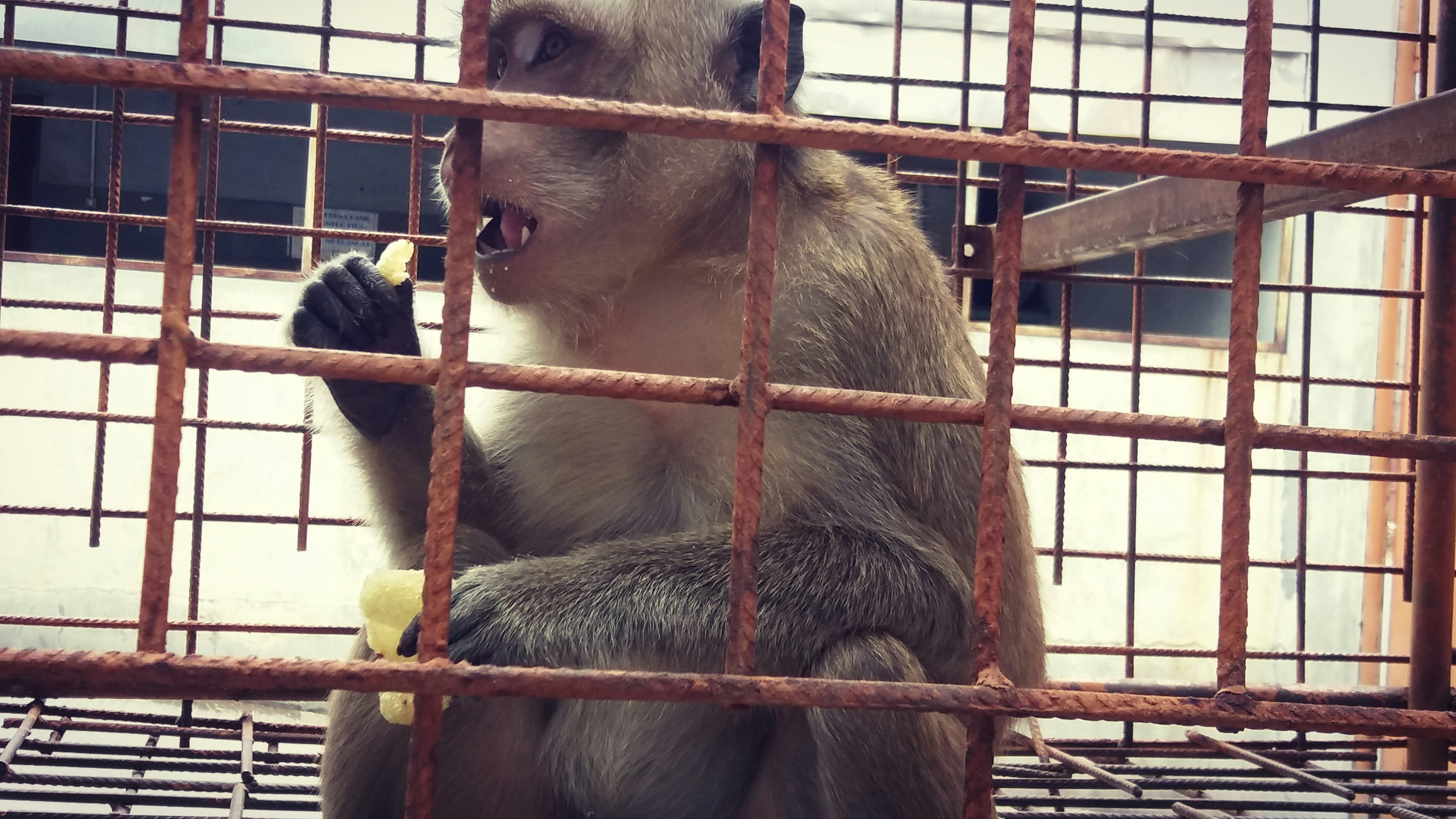 Free Unsplash photo from Herman Alwaysavrilia