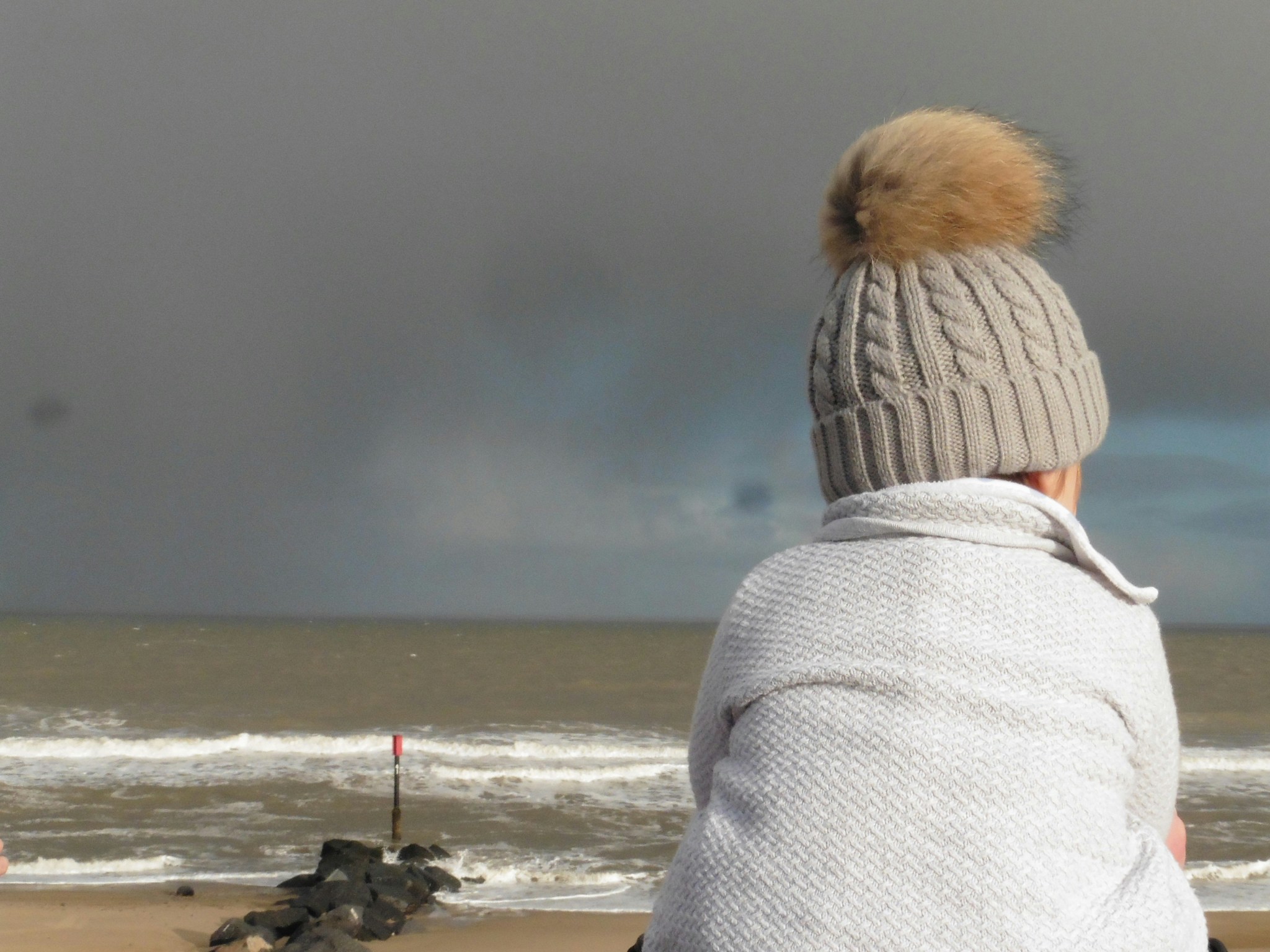 Free Unsplash photo from Maxine Clarke