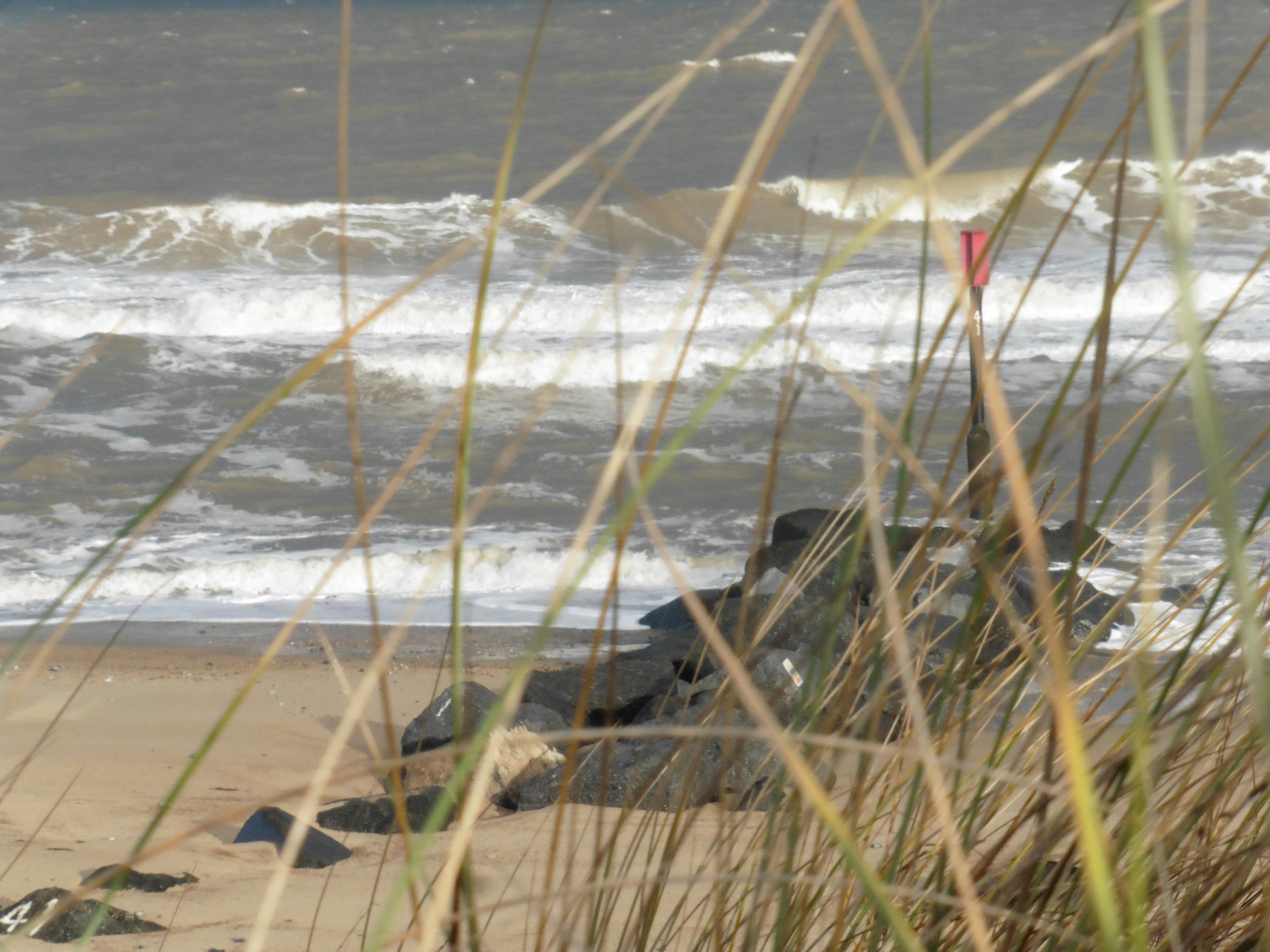 Free Unsplash photo from Maxine Clarke