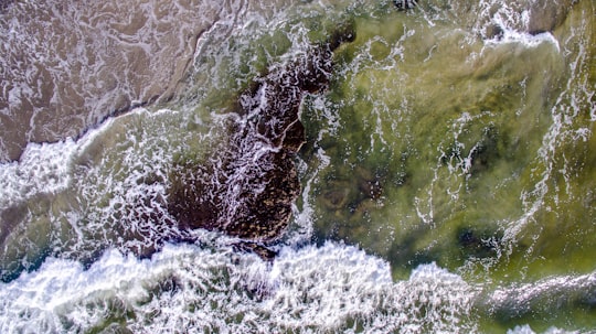 photo of Del Mar Mountain river near Balboa Park