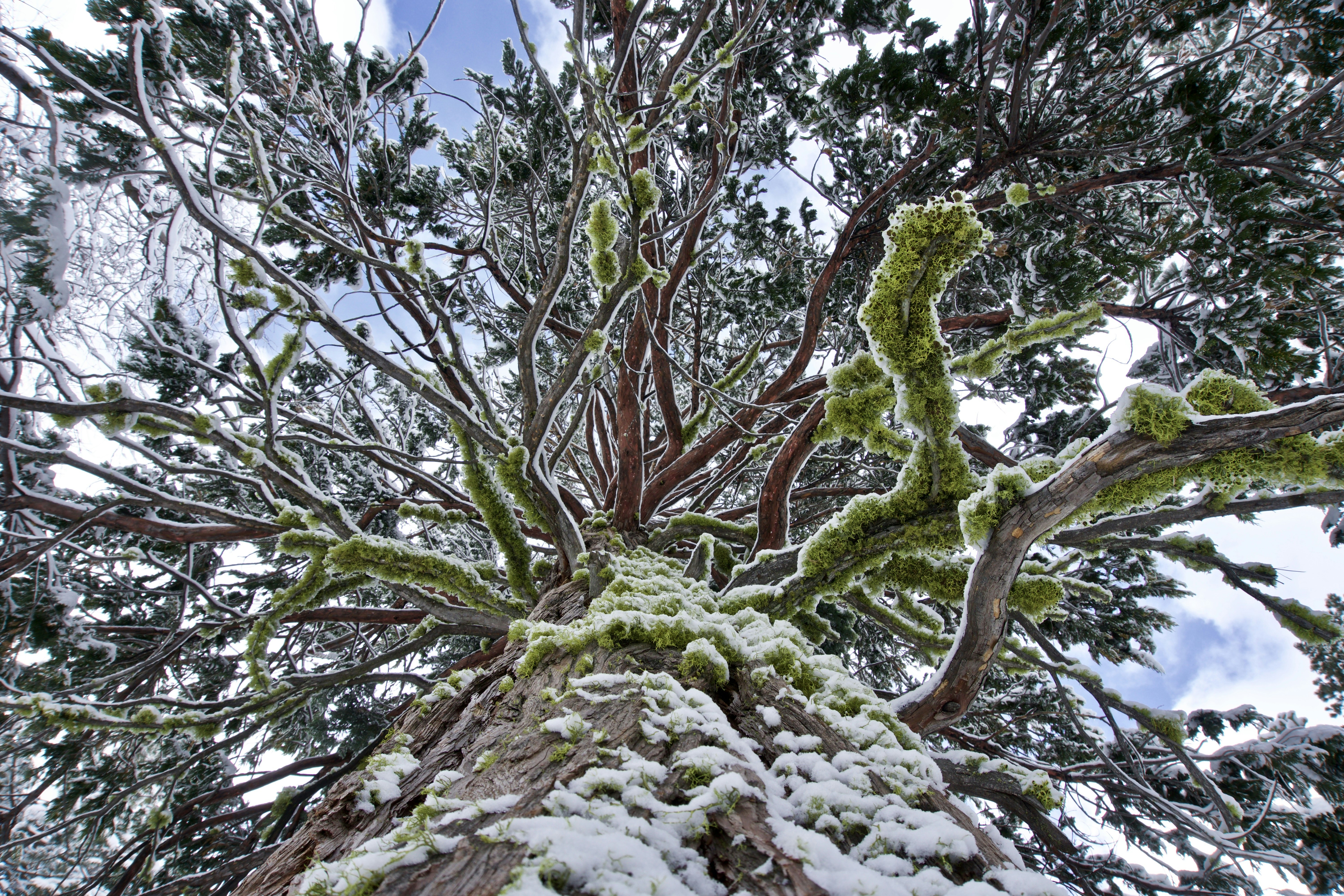 Free Unsplash photo from Namkai Fairfield