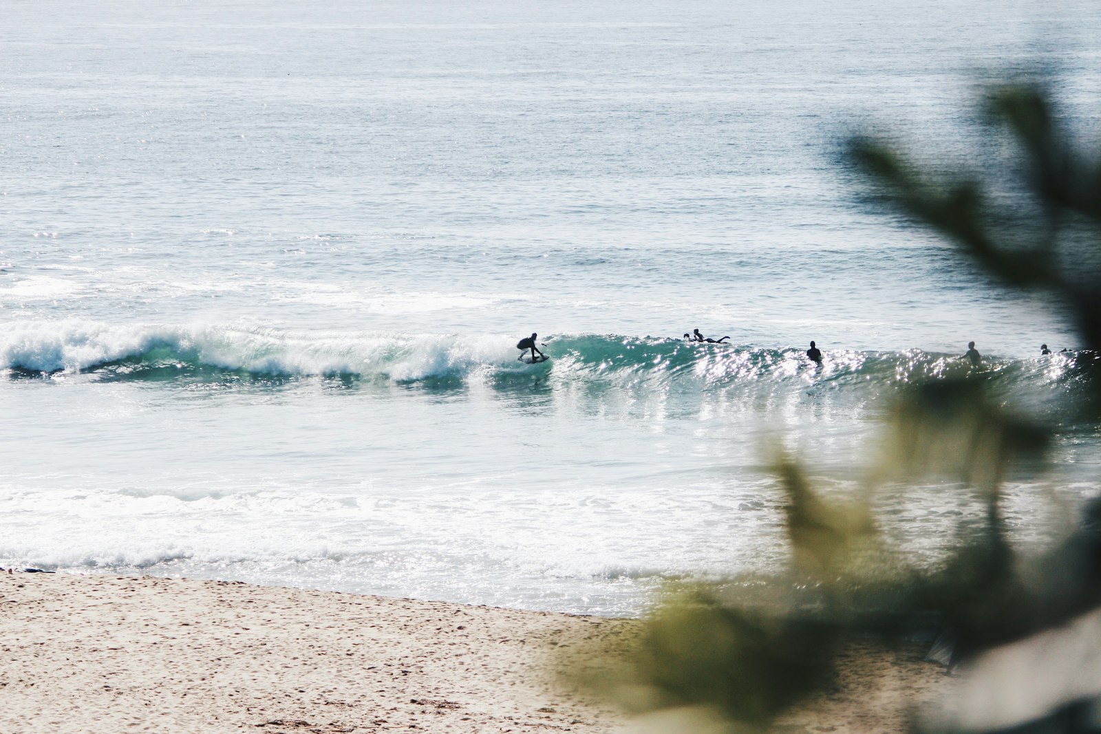 Canon EOS 650D (EOS Rebel T4i / EOS Kiss X6i) + Canon EF-S 55-250mm F4-5.6 IS II sample photo. People surfing in the photography