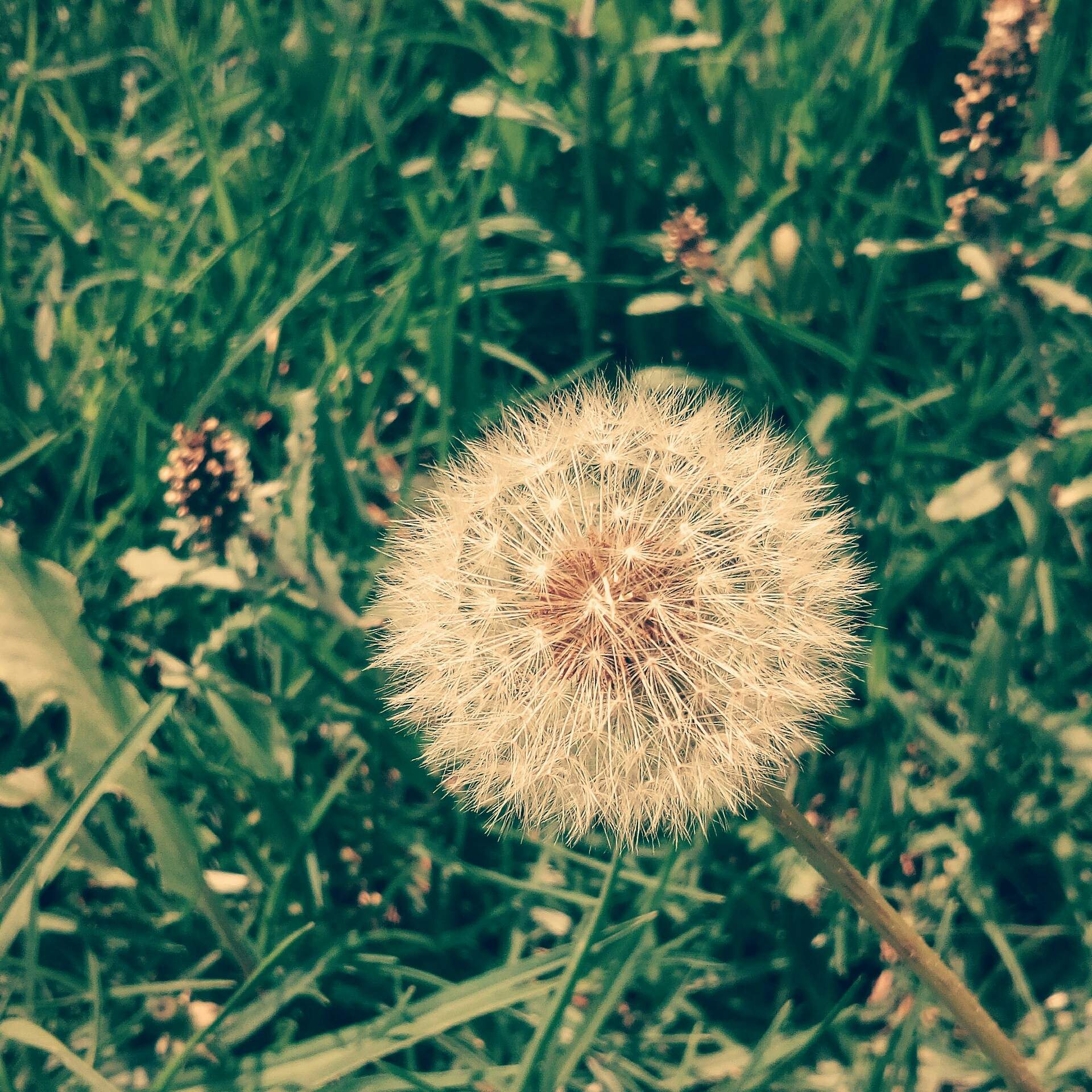 Free Unsplash photo from Nicolas Navarro