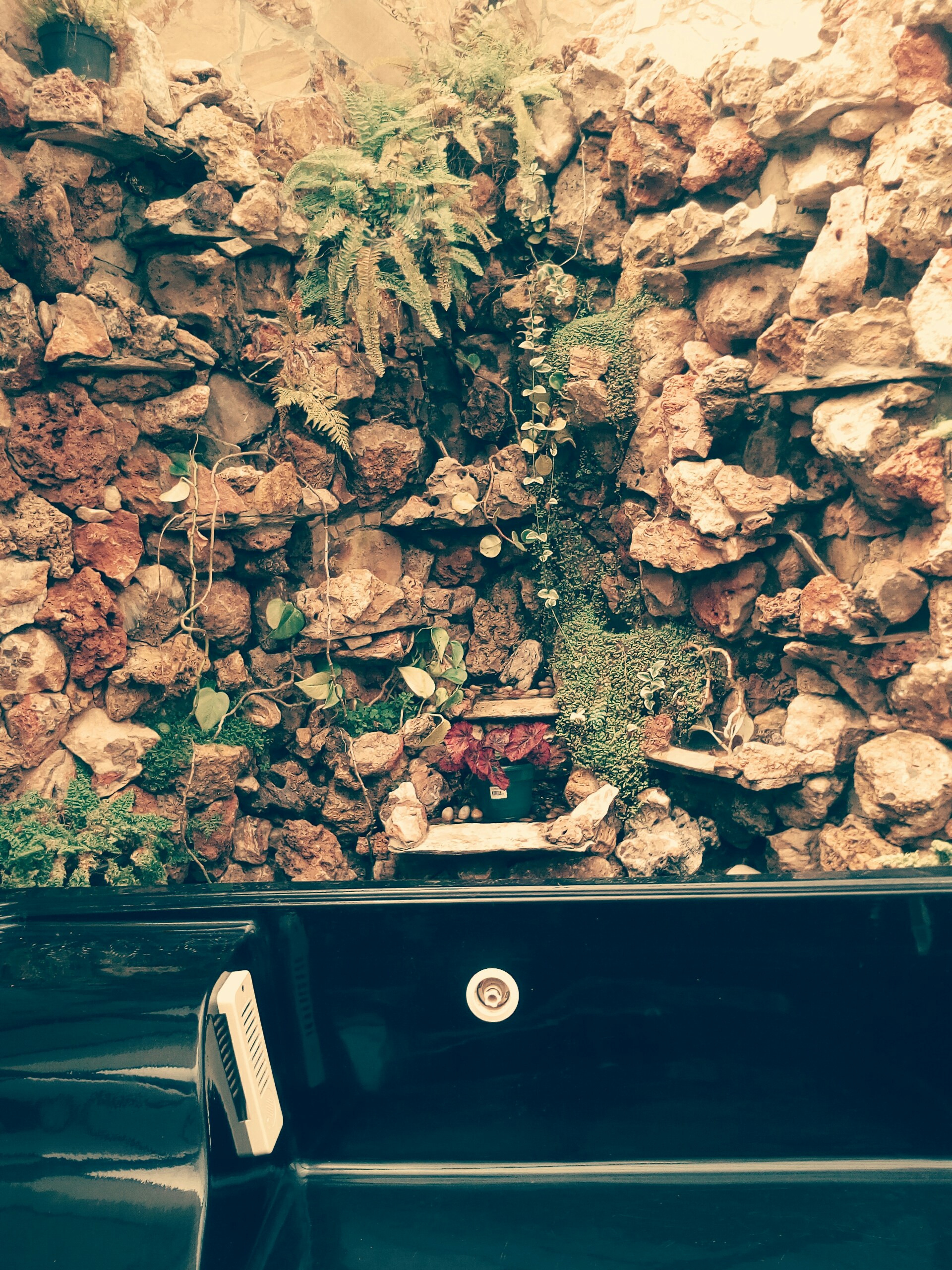 Free Unsplash photo from Nicolas Navarro