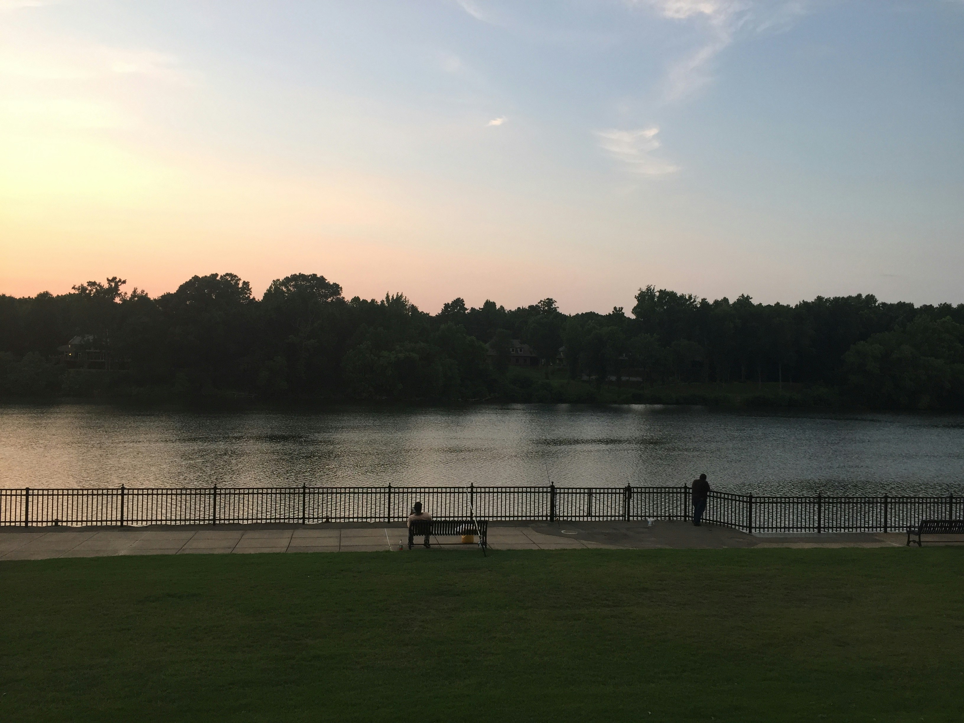 Free Unsplash photo from Crawford Collins